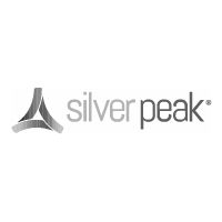 Silver Peak Gray Partner Logo